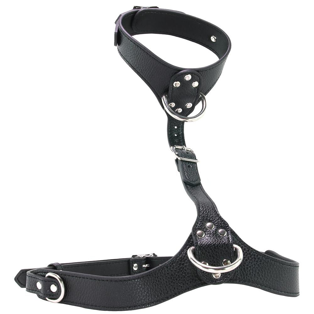 Female Chest Harness in Black - Sex Toys Vancouver Same Day Delivery